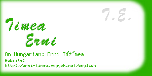 timea erni business card